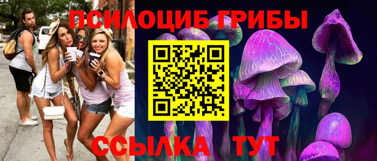 Псилоцибиновые грибы MAGIC MUSHROOMS  сколько стоит  Павлово  Галлюциногенные грибы Cubensis  Вход с VPN 